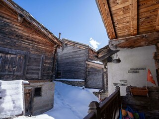 Trächu_bearbeitet-00059