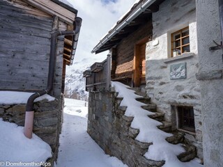 Trächu_bearbeitet-00002