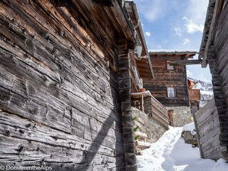 Trächu_bearbeitet-00004