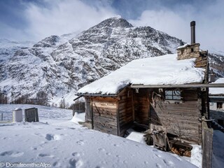 Trächu_bearbeitet-00012