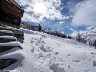 Trächu_bearbeitet-00017