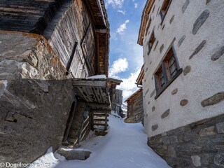 Trächu_bearbeitet-00016