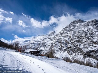 Trächu_bearbeitet-00023