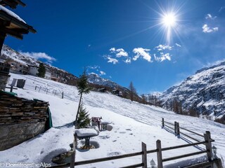 Trächu_bearbeitet-00052