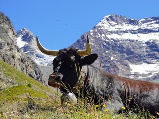 2021-01-19 21.56.37-2