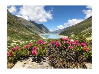 2019-01-25 16.51.31-4