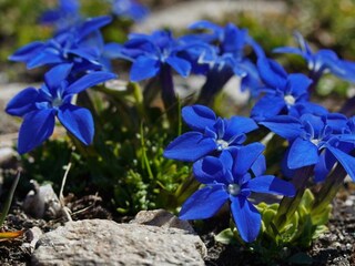 2021-01-19 21.55.08-2