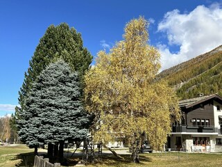IMG_9799