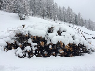 27.04.2016 236