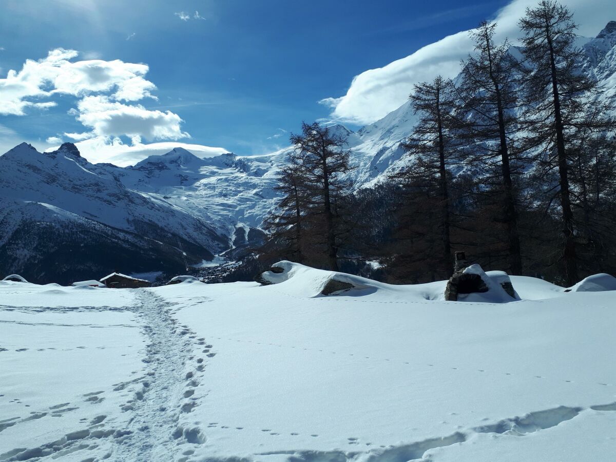 Schneeschuhwanderung