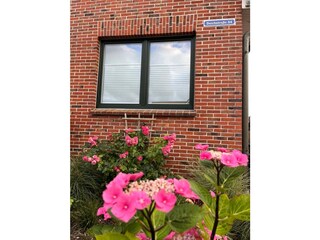 Ferienwohnung Borkum Außenaufnahme 4