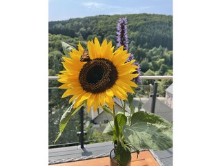 Casa per le vacanze Rieden (Eifel) Registrazione all'aperto 7