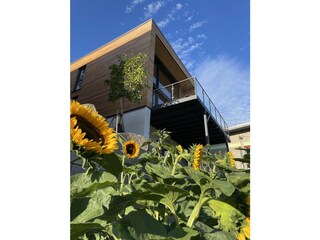 Casa per le vacanze Rieden (Eifel) Registrazione all'aperto 2