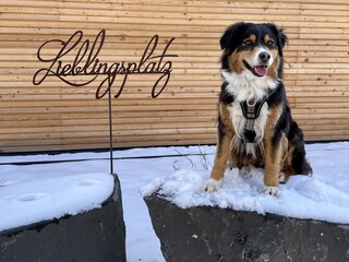 Vakantiehuis Rieden (Eifel) Buitenaudio-opname 7