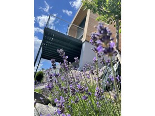 Casa de vacaciones Rieden (Eifel) Grabación al aire libre 9