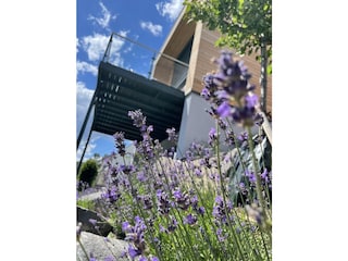 Casa per le vacanze Rieden (Eifel) Registrazione all'aperto 8