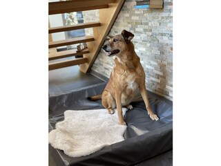 Casa de vacaciones Rieden (Eifel) Características 29