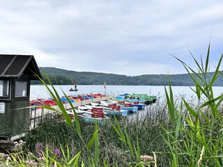 Vakantiehuis Rieden (Eifel) Omgeving 39