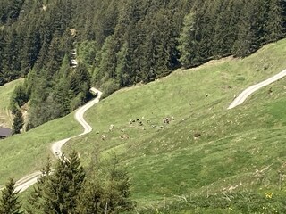 Appartamento per vacanze Hart Ambiente 17