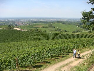 Viele Wandermöglichkeiten direkt vom Haus