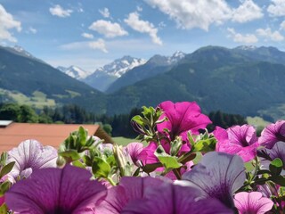 Vakantieappartement Hollersbach im Pinzgau Buitenaudio-opname 7