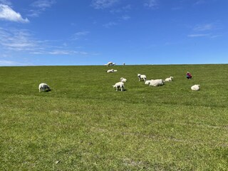 Casa per le vacanze Dagebüll Ambiente 28