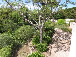 Villa Sainte-Maxime Registrazione all'aperto 7