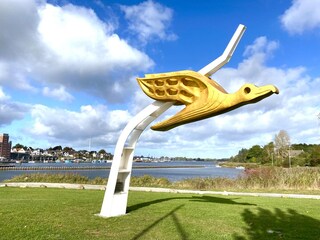 Der Albatros in Kappeln