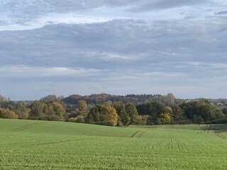 Blick aus Küche und Esszimmer