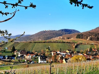 Blick über Leinsweiler bis zur Madenburg in Eschbach