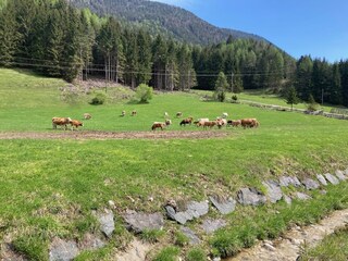 Appartamento per vacanze Bad Bleiberg Ambiente 35