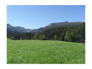 Blick vom Haus zum Ifen