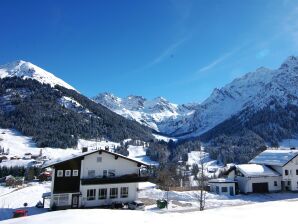 Apartment Terrassenwohnung / 1 Schlafraum - Mittelberg - image1