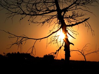 Apartment Windischgarsten Outdoor Recording 52