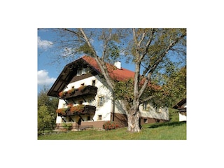 Bauer am Berg im Sommer