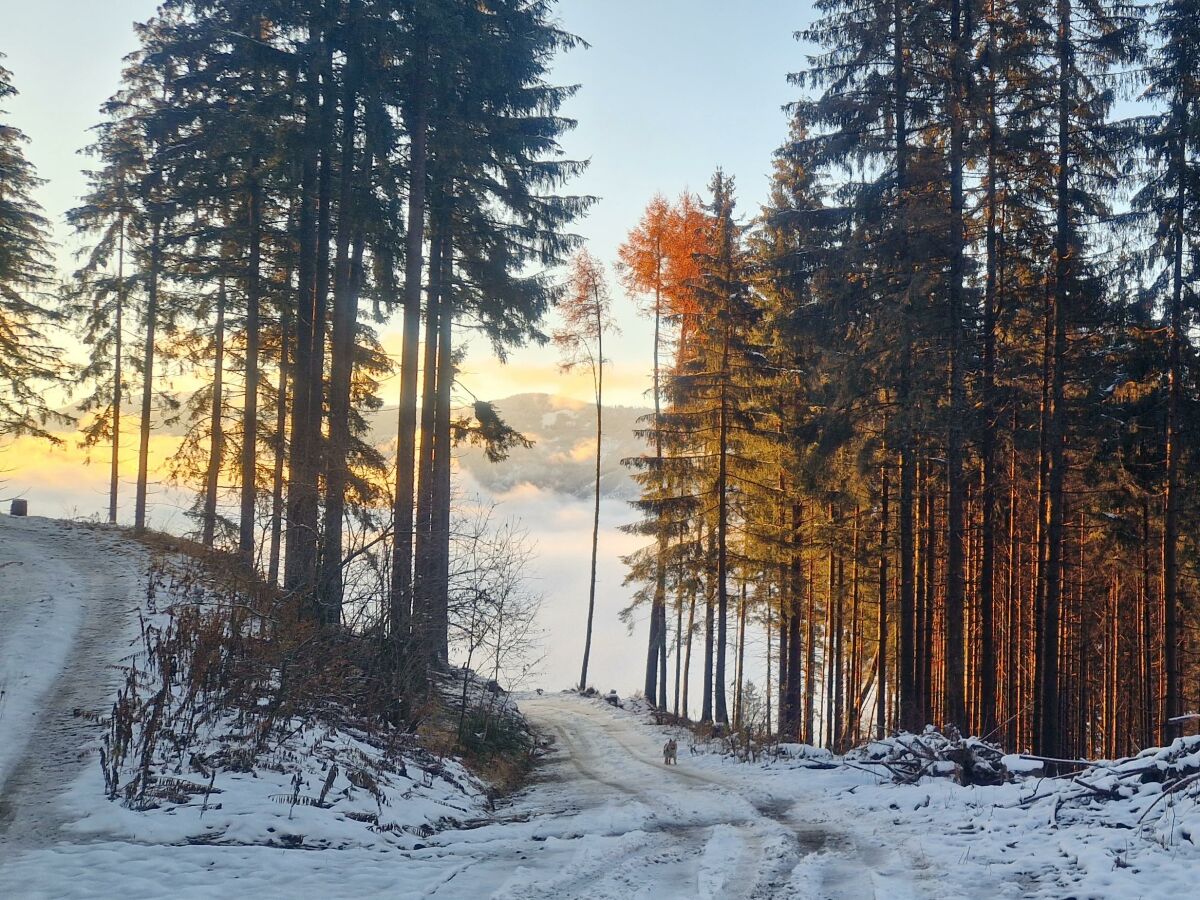 Spazieren in der Umgebung