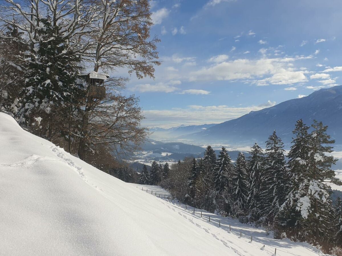 Spazieren in der Umgebung