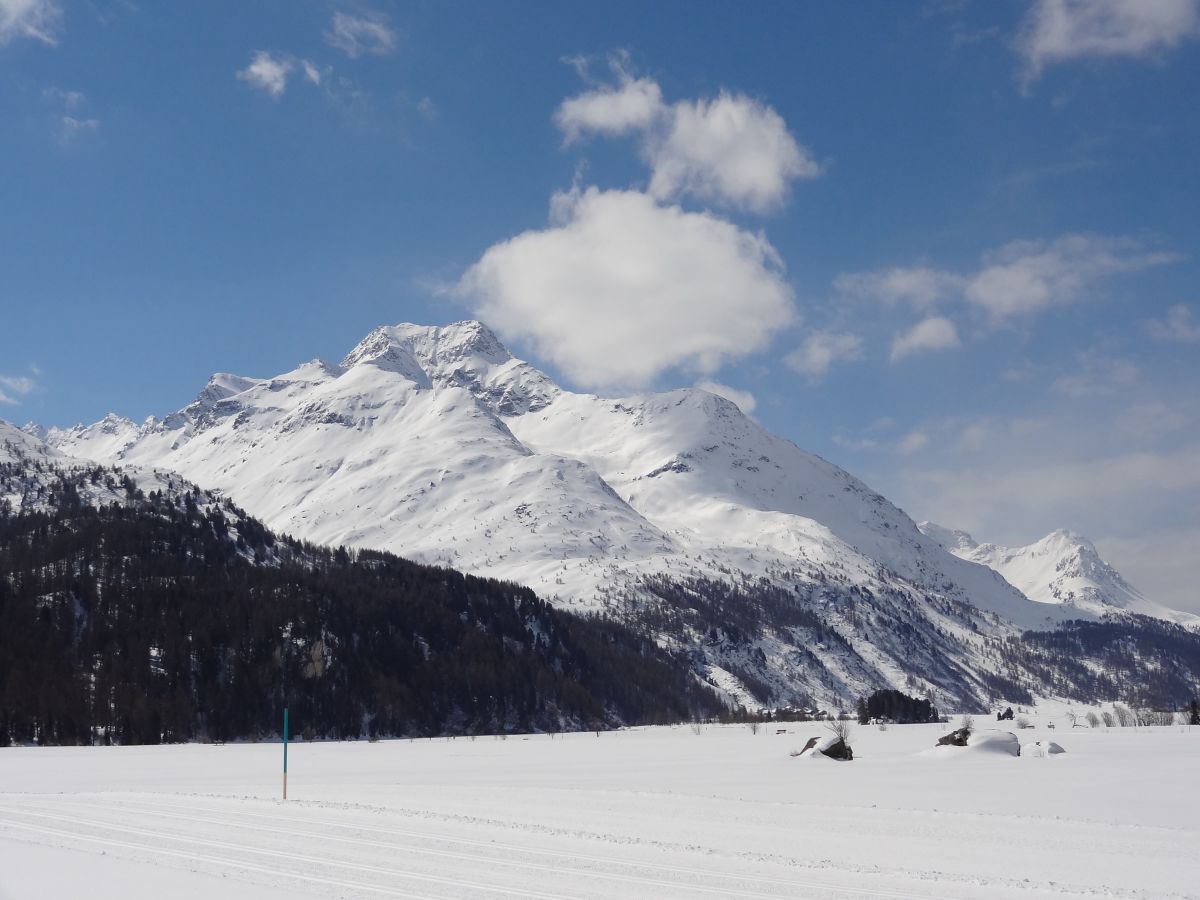 Margna bei Sils Maria