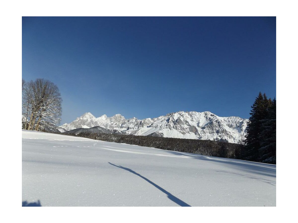 Blick auf den Dachstein