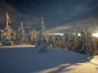 _MG_4408Planai Raffalt Facebook