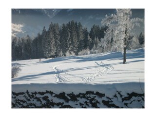 Appartamento Schladming Registrazione all'aperto 17