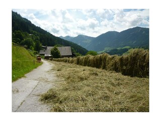 "moderne" Heutrocknung