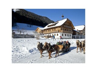 _MG_4761Pferdeschlitten Untertal Raffalt f