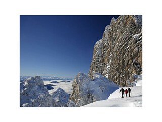 _69A6475Dachstein f