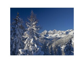 _MG_5731Hochwurzen Raffalt