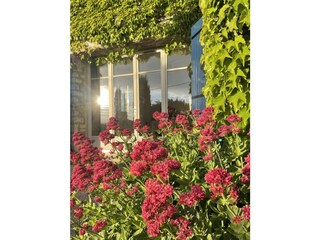 Appartamento per vacanze Bedoin Registrazione all'aperto 3