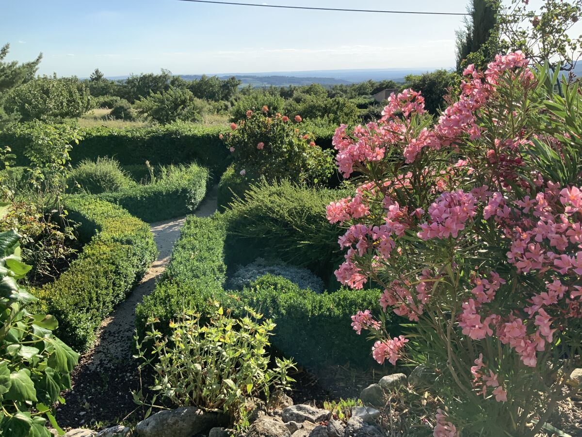 Der Garten vor dem Haus