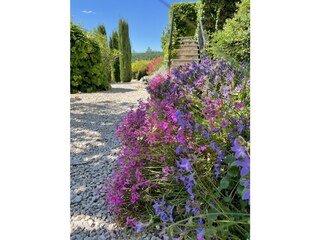 Appartamento per vacanze Bedoin Registrazione all'aperto 13