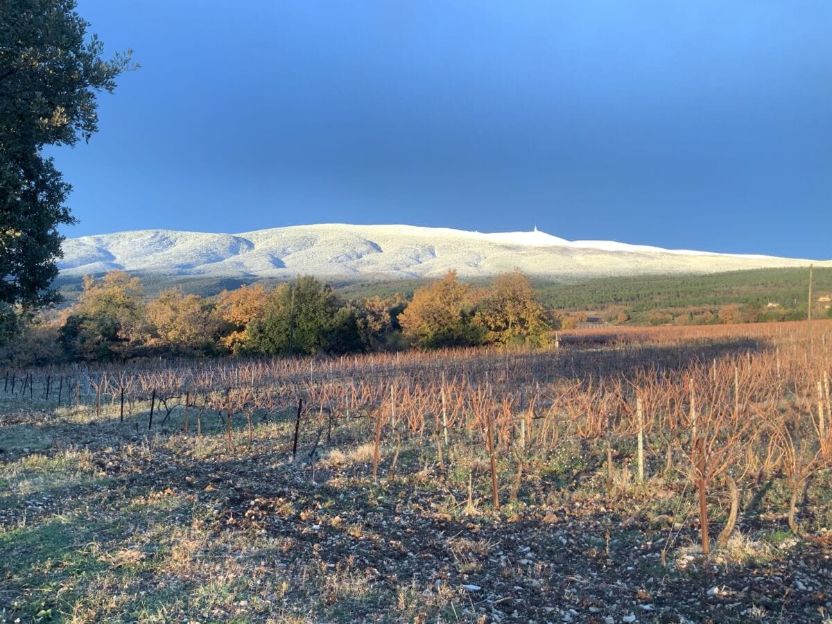 Mont Ventoux im Schnee (2021)