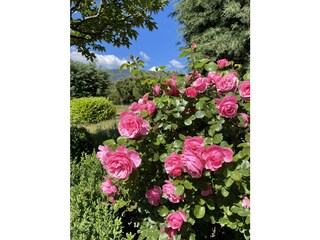 Appartamento per vacanze Bedoin Registrazione all'aperto 12